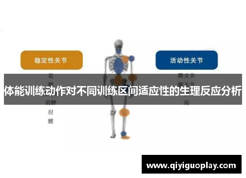 体能训练动作对不同训练区间适应性的生理反应分析